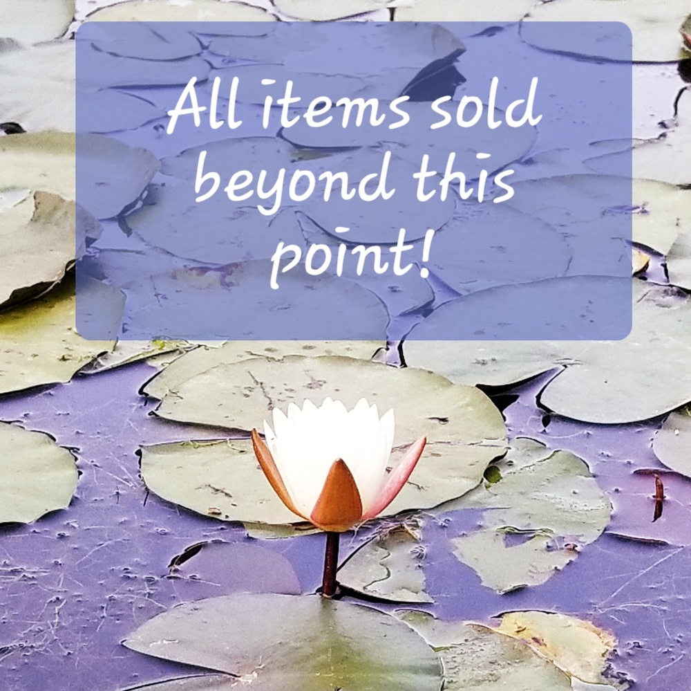 🚫all items sold beyond this point
